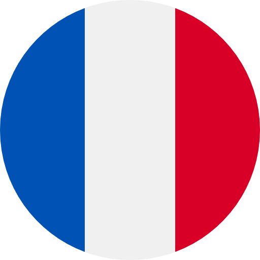 France Virtual Phone Numbers - Keep Your Identity Private! Buy Number