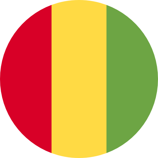 Guinea Mga Virtual na Numero ng Telepono - Panatilihing Pribado ang Iyong Pagkakakilanlan! Bumili ng Numero ng Telepono